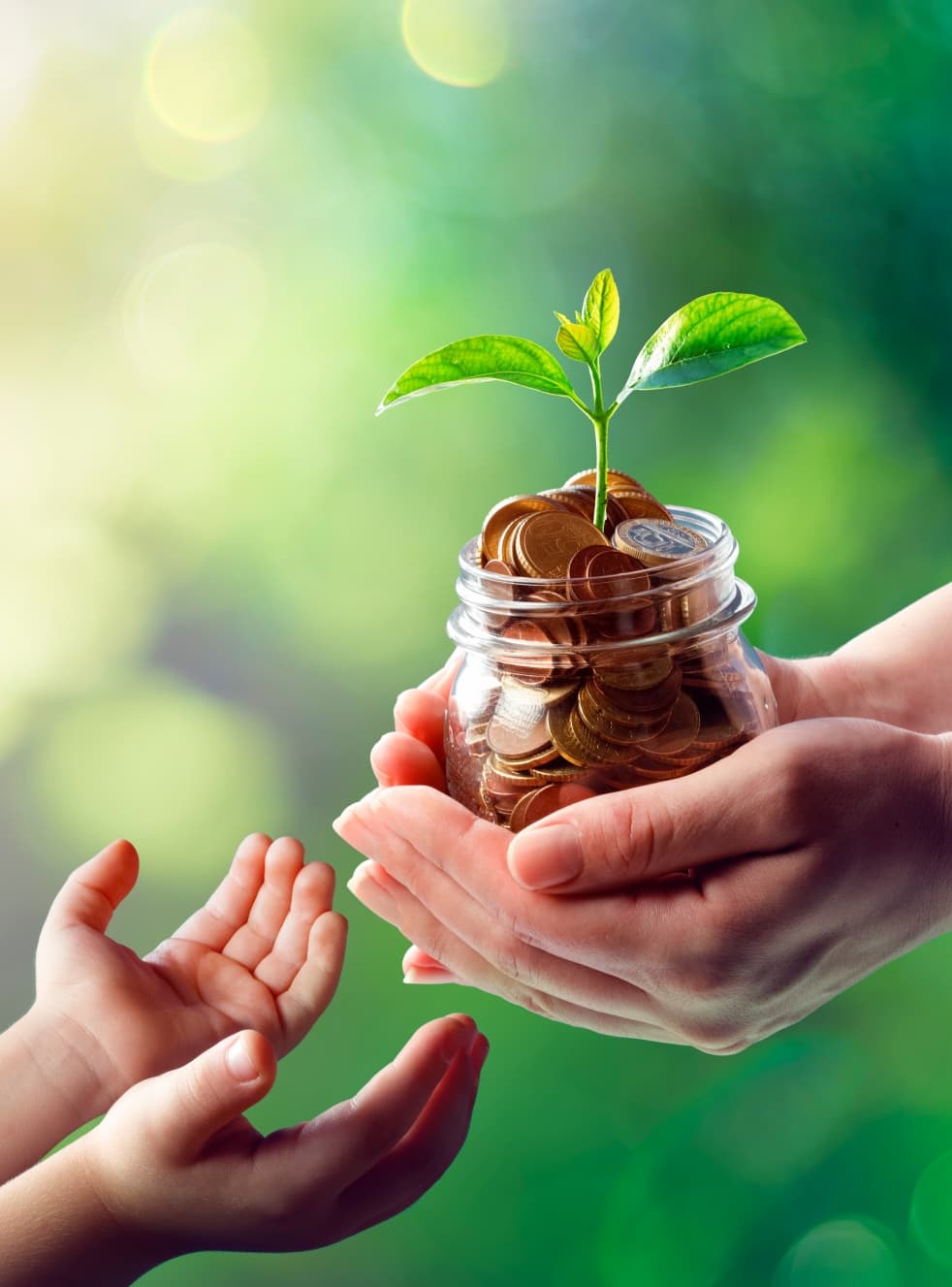 Hands passing jar of coins with growing plant